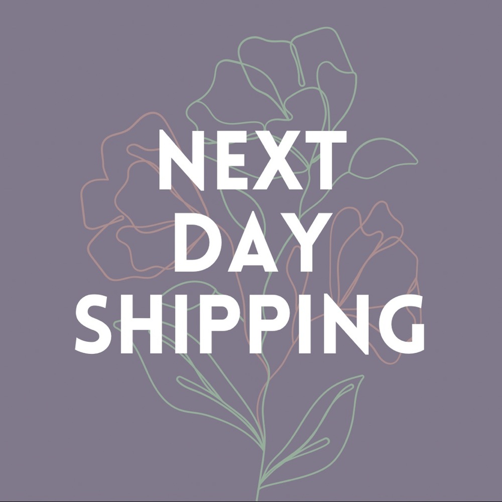 Ships Next Day